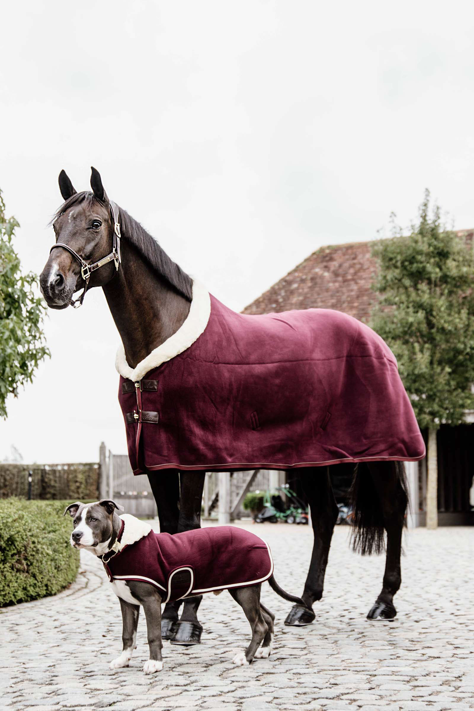 Couverture polaire épaisse de concours Kentucky Horsewear