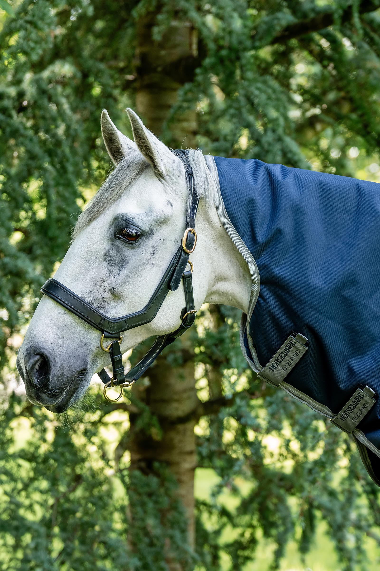 Cou Horseware Amigo 1200 deniers 150g