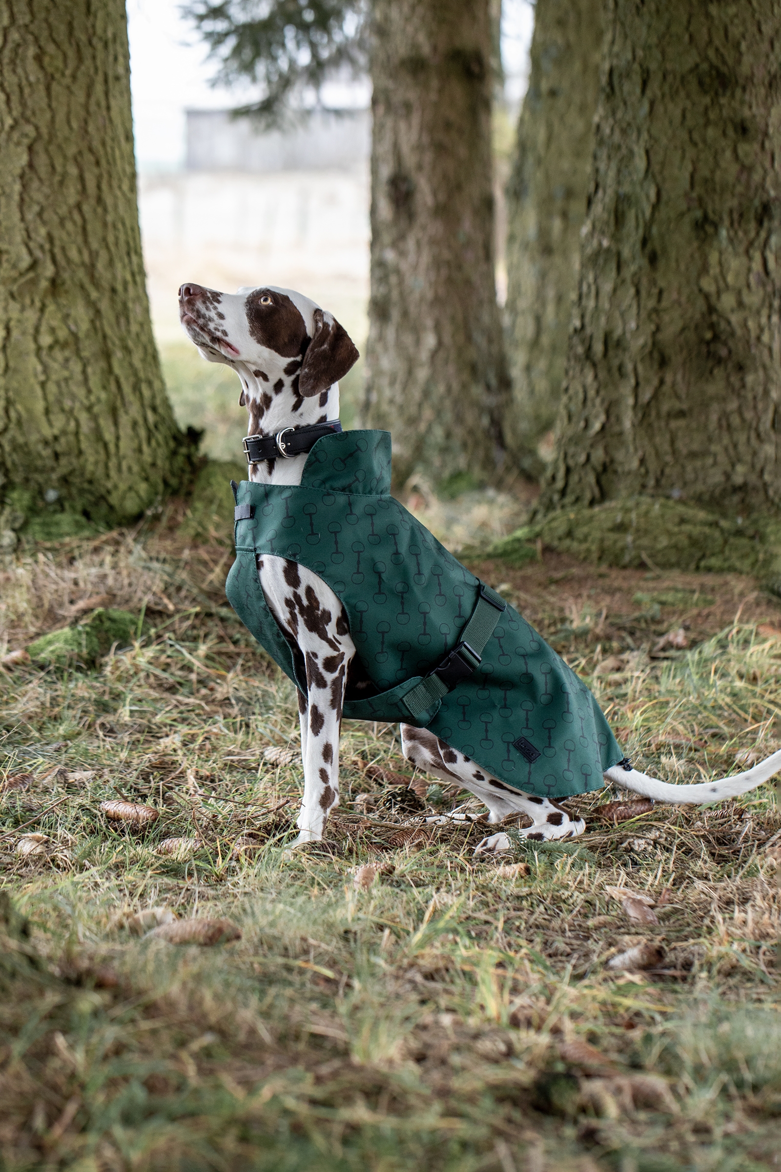 Manteau pour chien Horze Noir avec impression