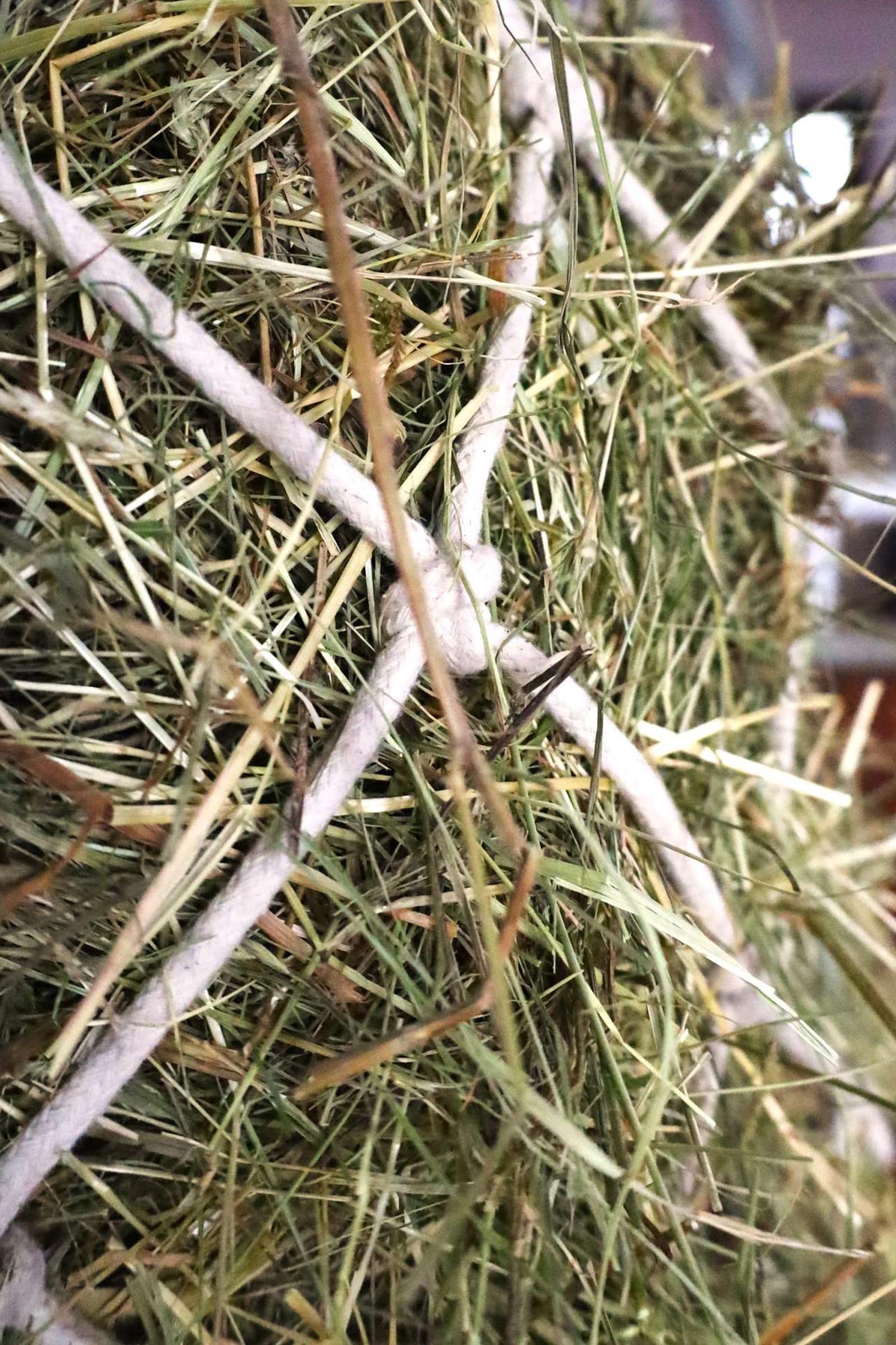 USG filet &agrave; foin en coton, mailles 10 x 10 cm