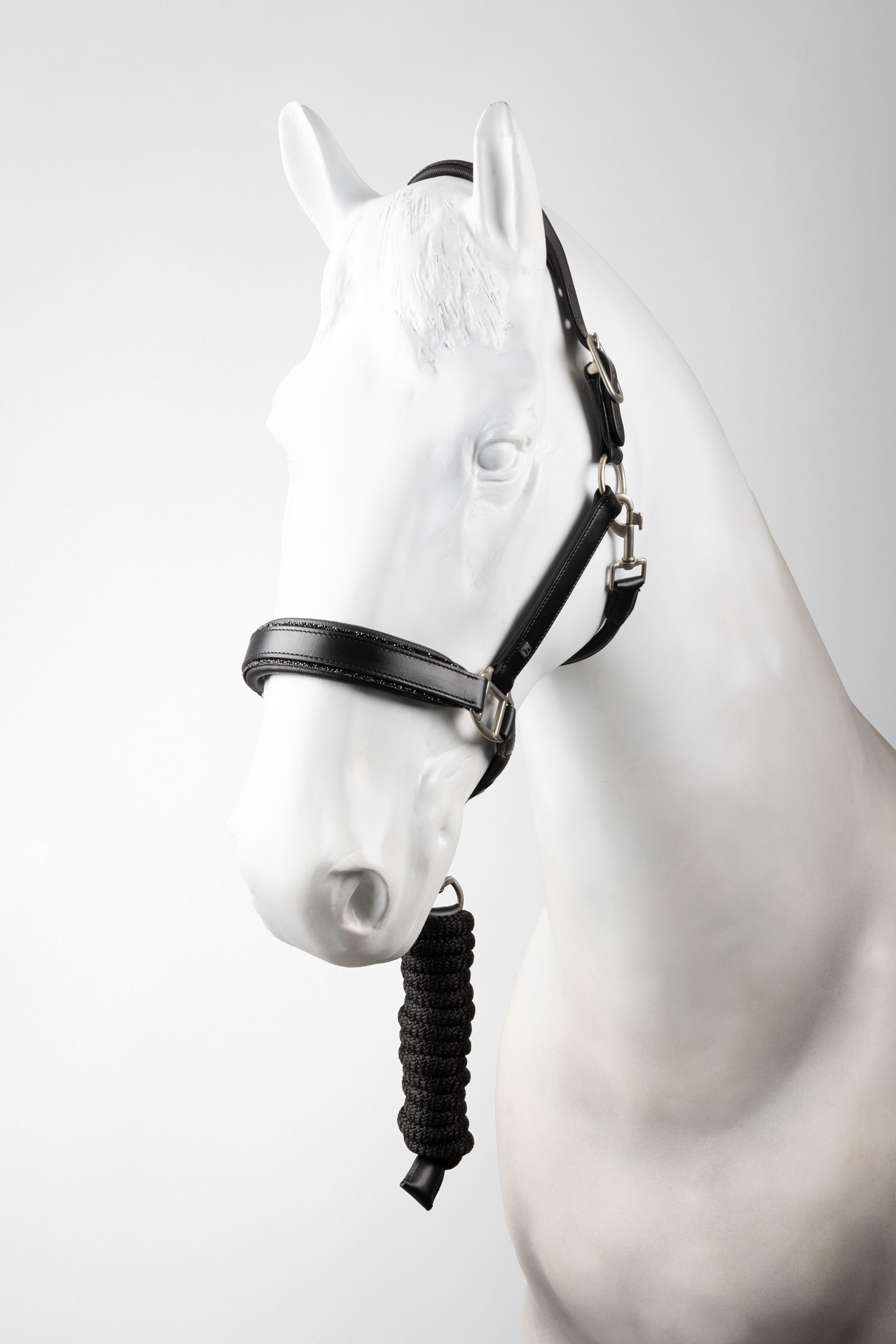 Horze Dynasty Licol en cuir et longe ensemble