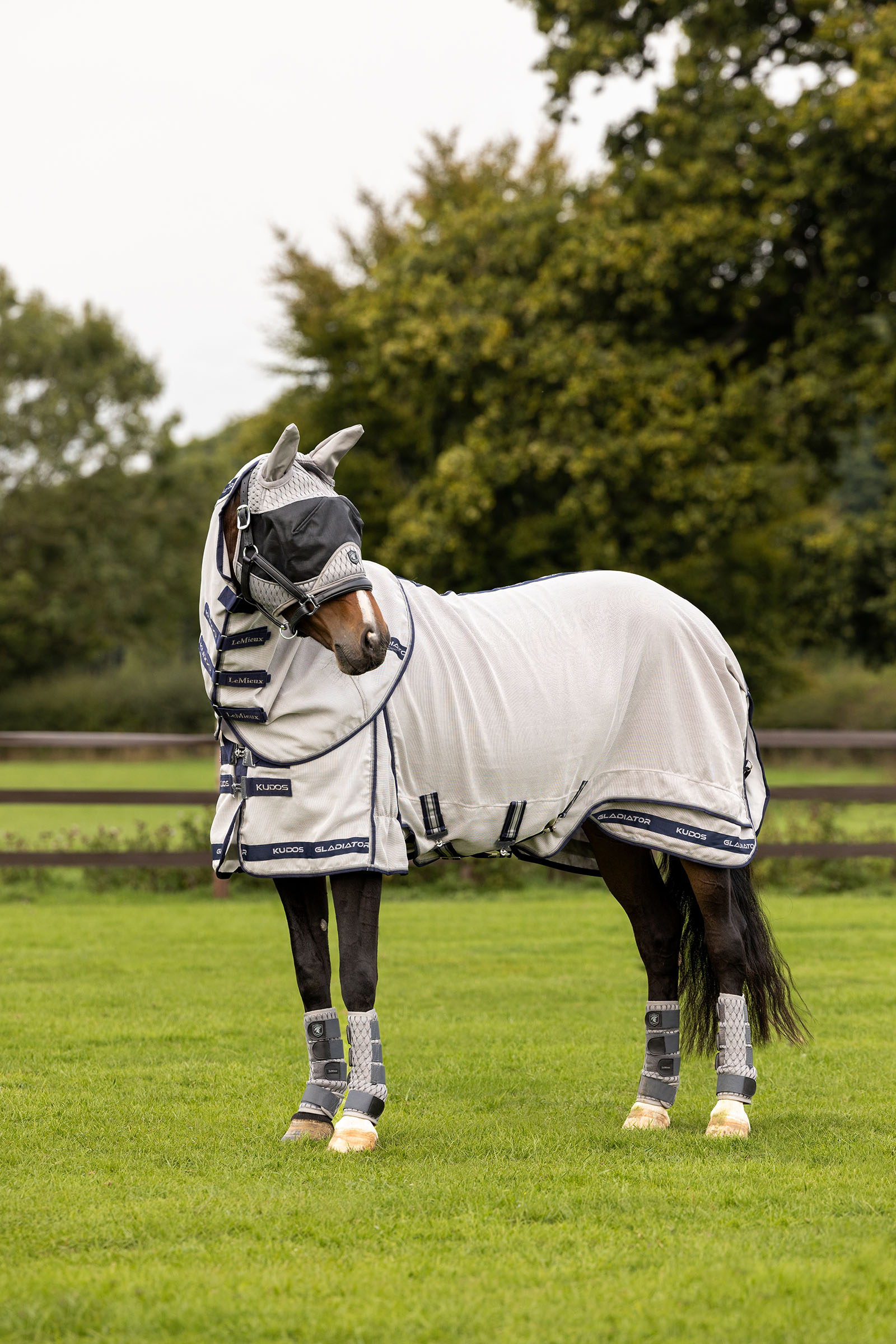 LeMieux Kudos Gladiator couverture anti-mouches