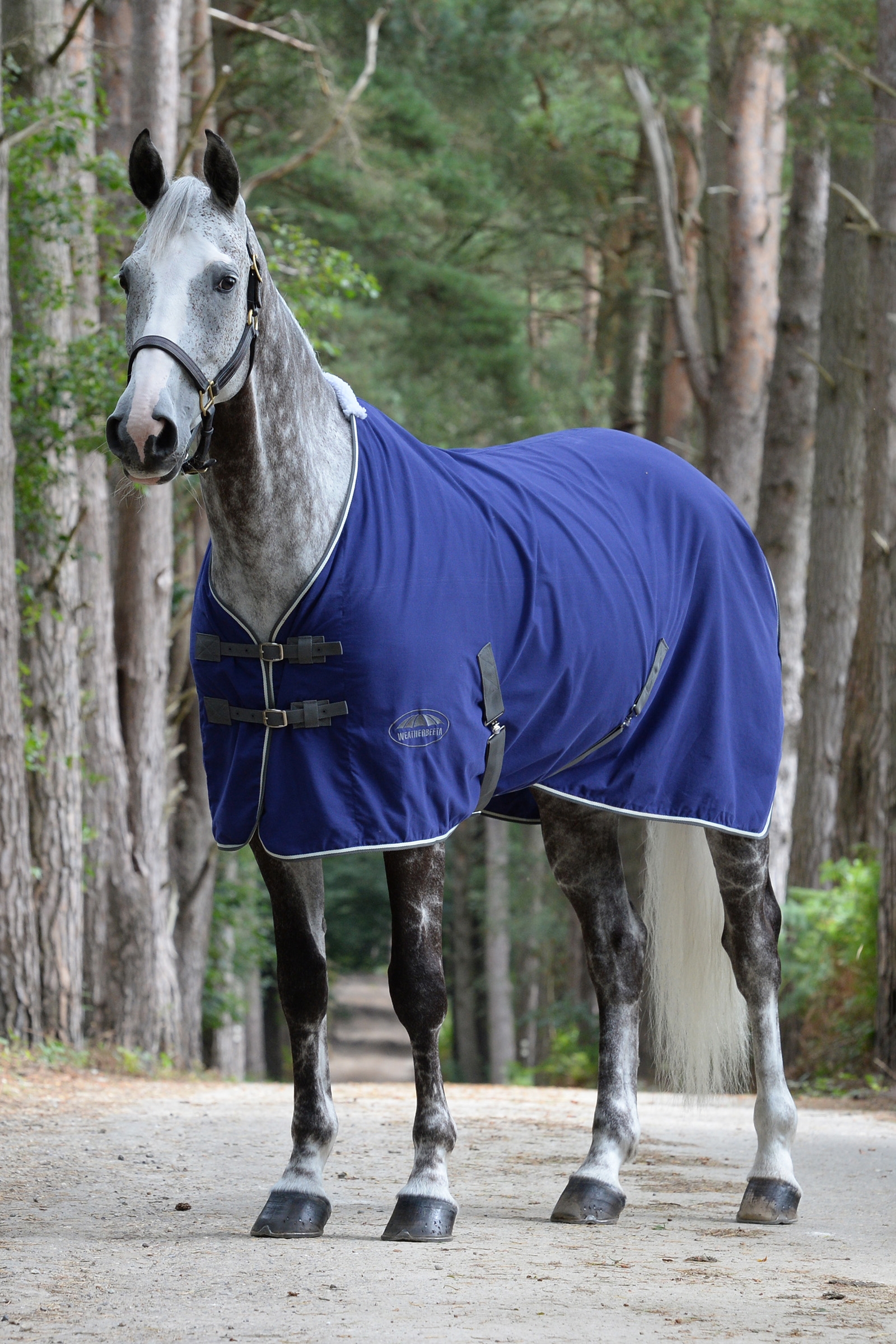 Couverture de concours en coton Weatherbeeta