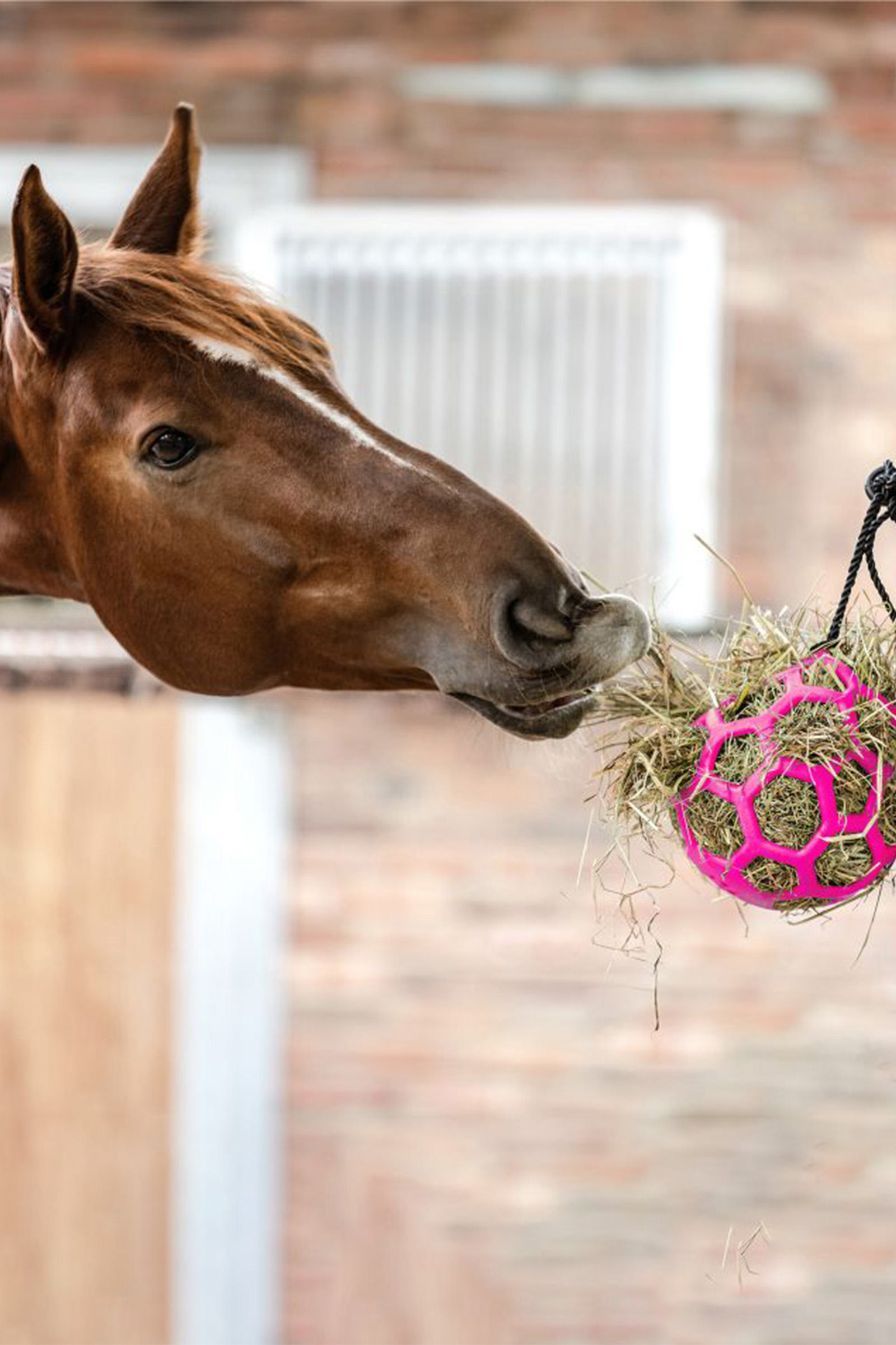 Waldhausen balle &agrave; foin