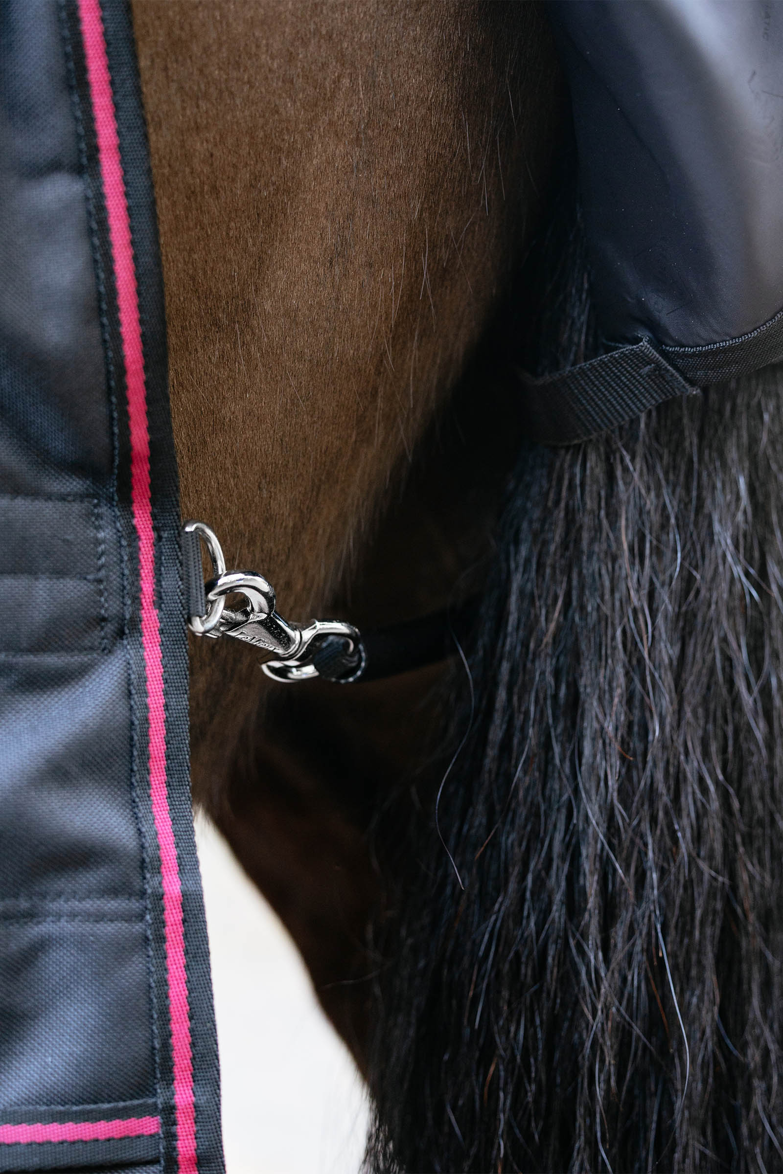 LeMieux Arika Storm-Tek couverture d&rsquo;ext&eacute;rieur avec encolure amovible, 50 g