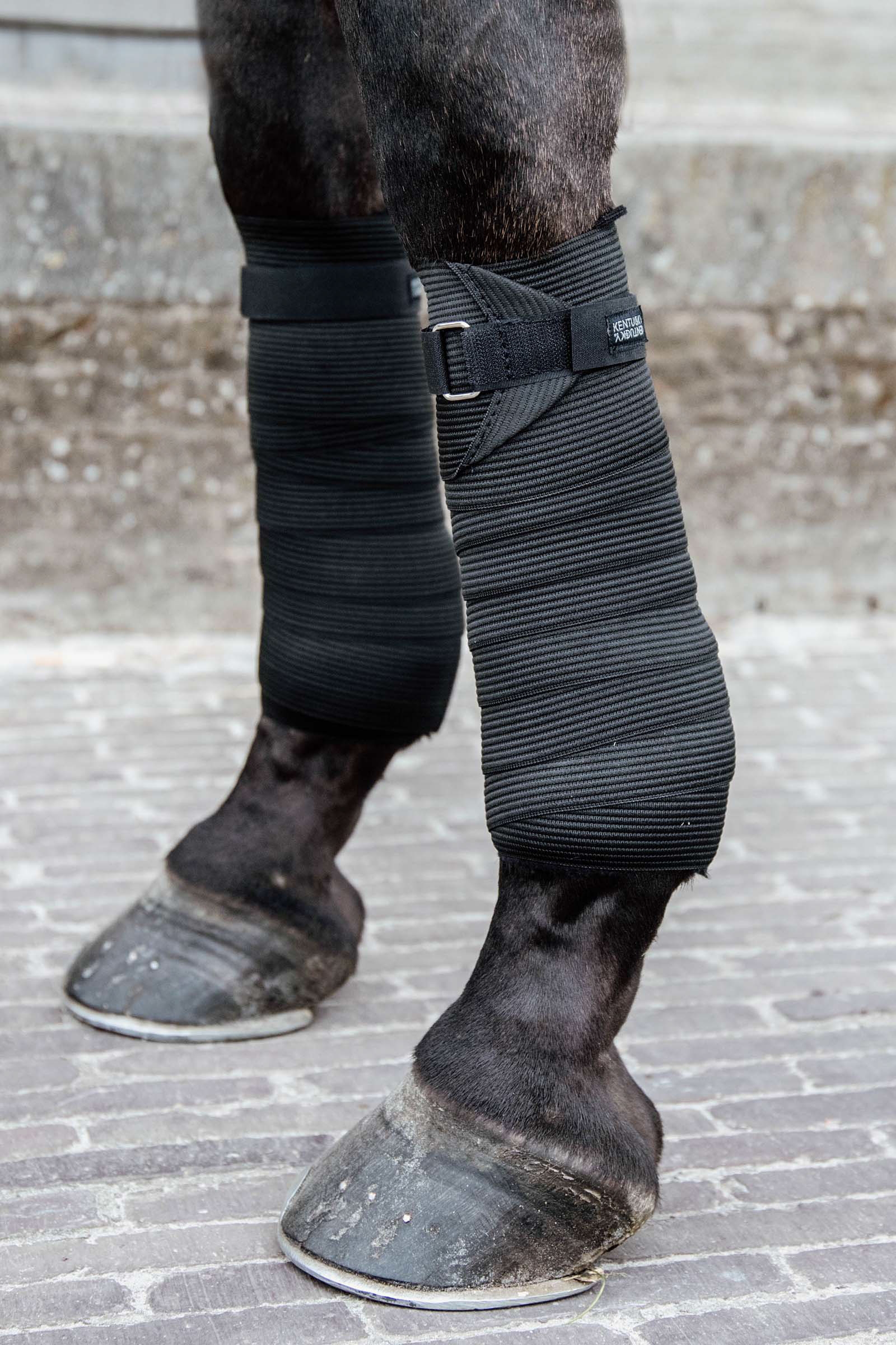 Bandes en polaire élastiques Kentucky Horsewear Polar