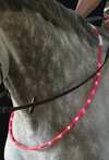 Collier de cheval USG LED