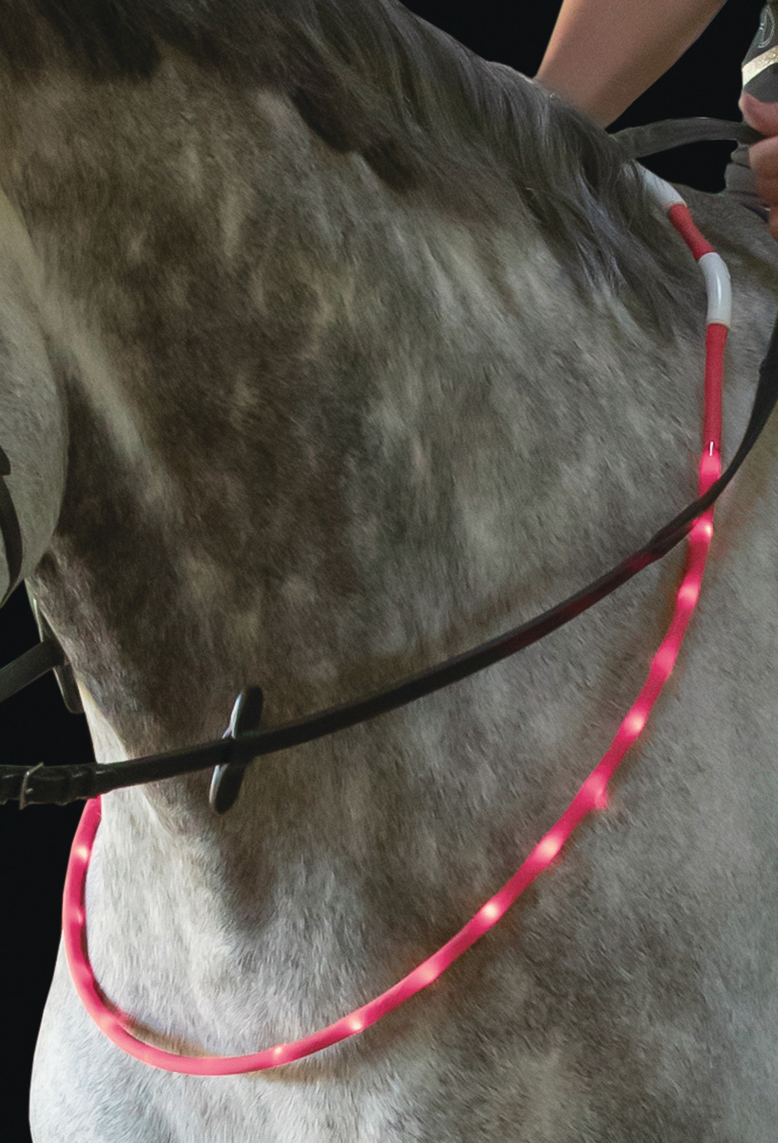 Collier de cheval USG LED
