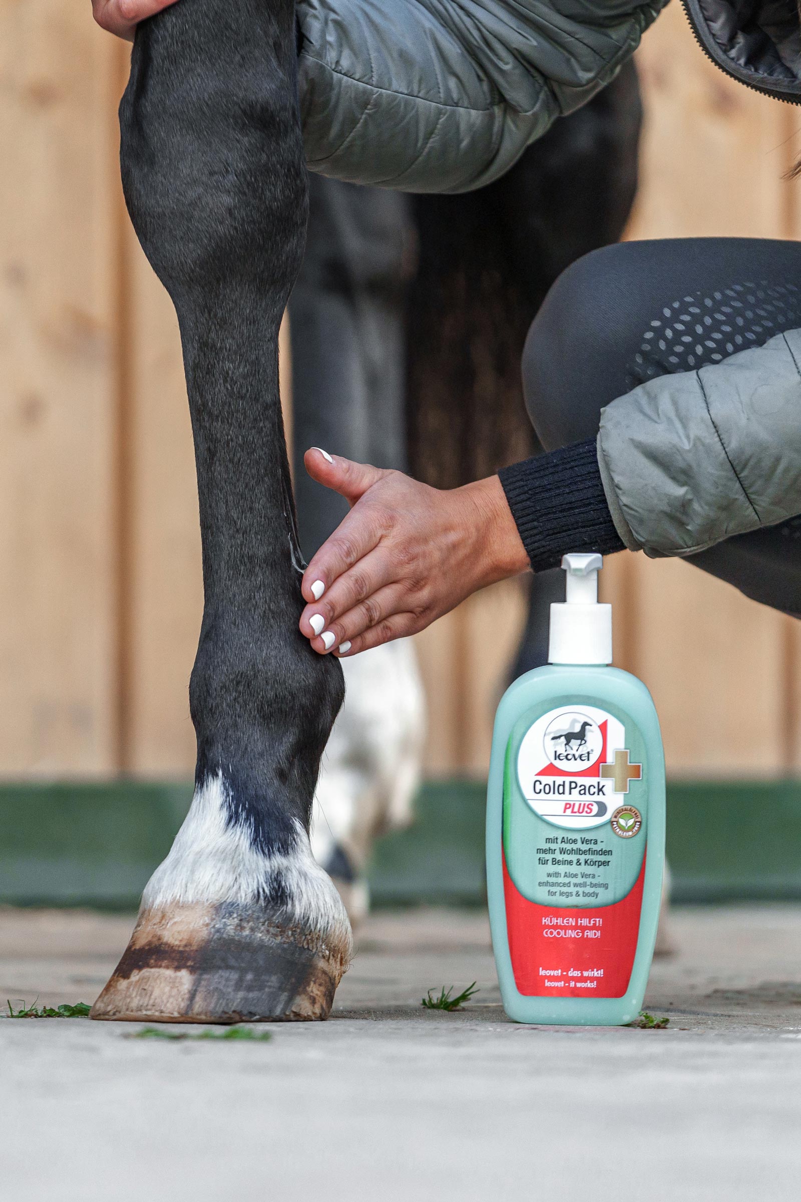 Leovet Cold Pack Plus 500 ml