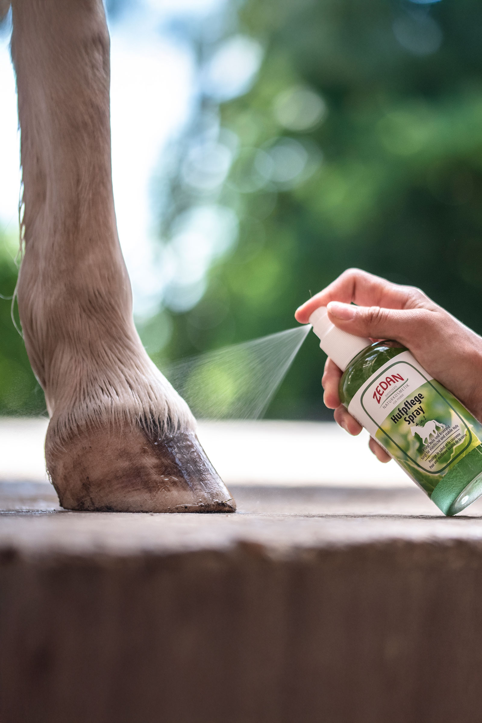 Zedan Soin des sabots Spray 4 en 1, 275ml