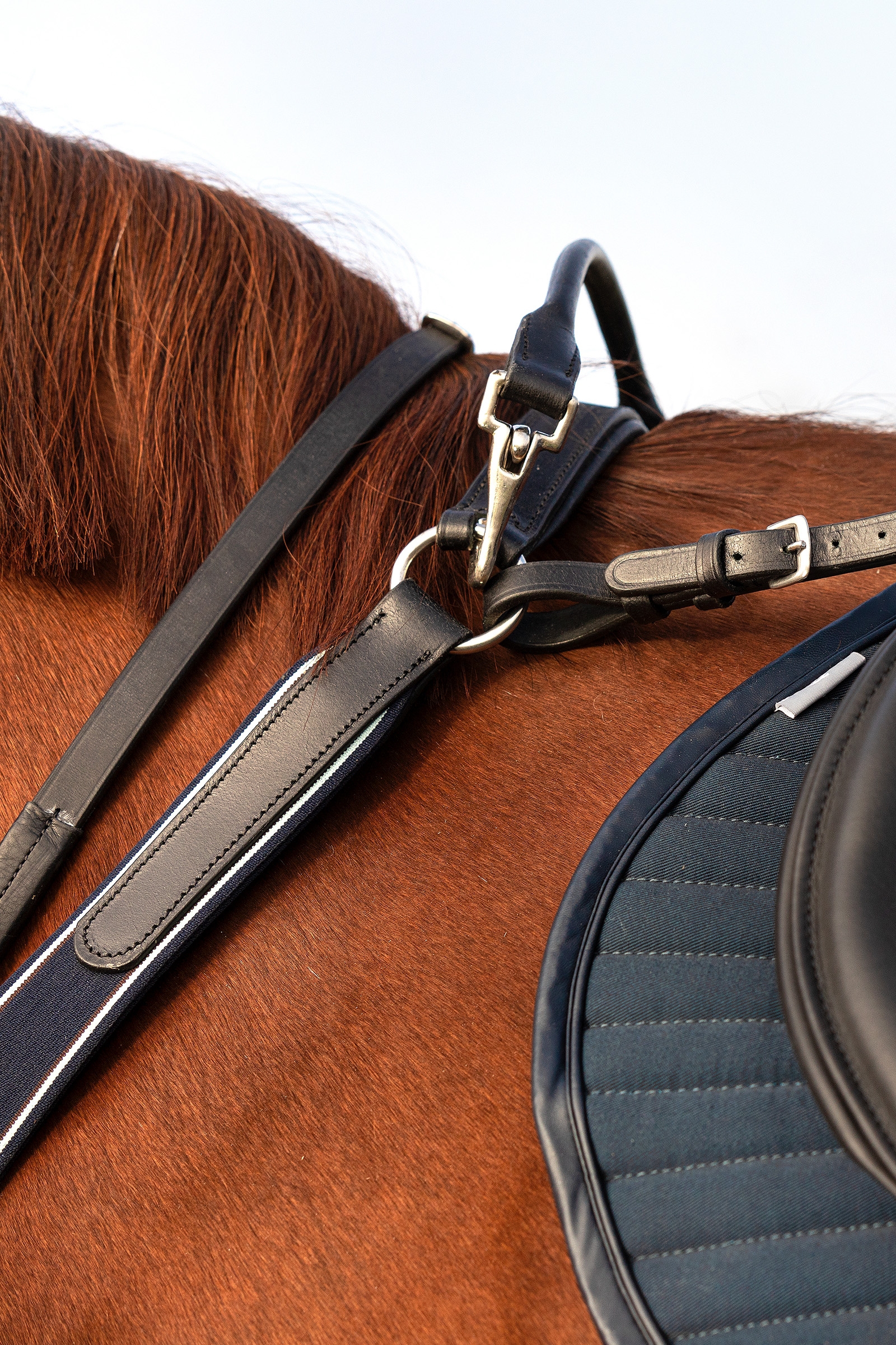 Collier Micklem Rambo Horseware