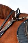 Collier Micklem Rambo Horseware