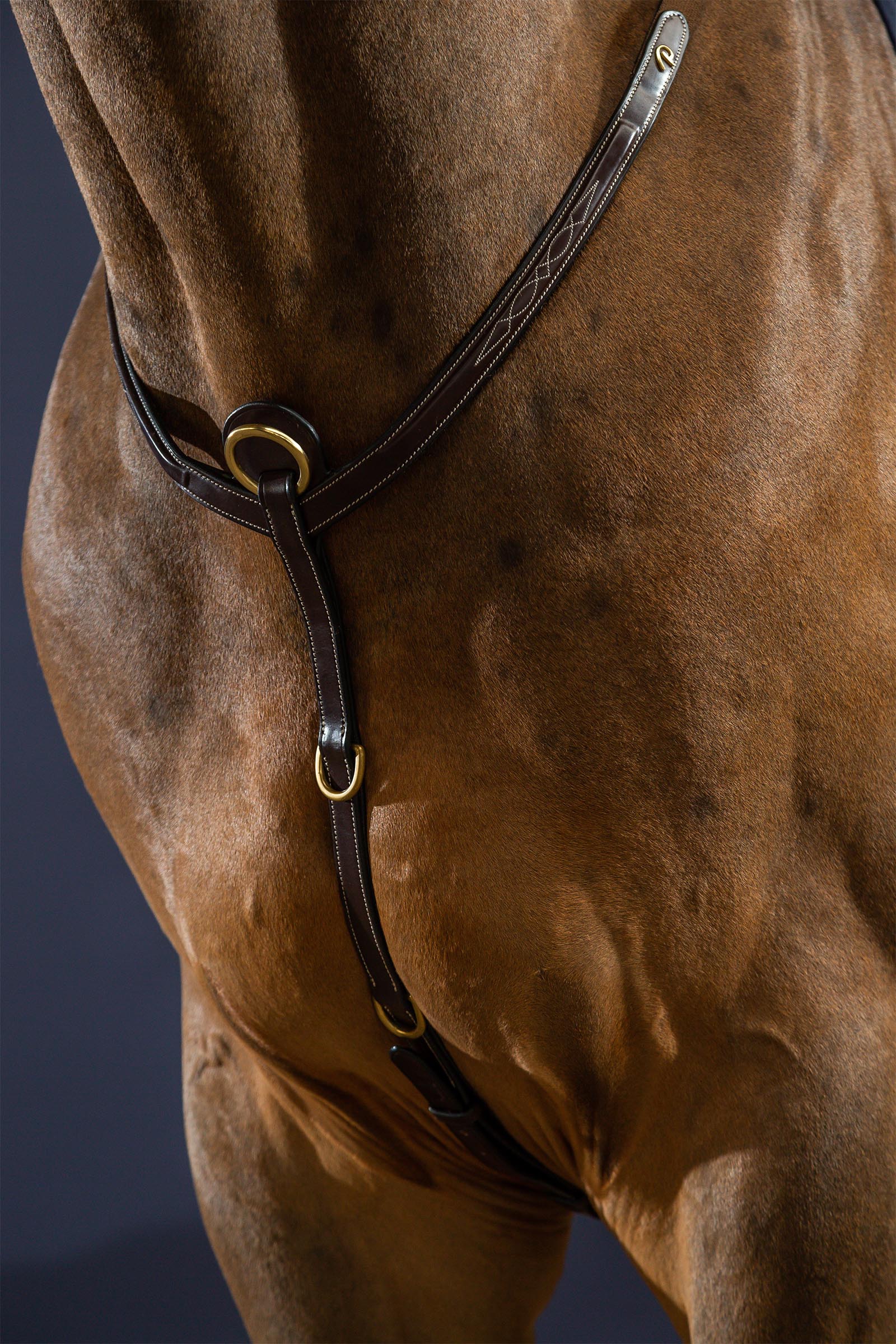 Dy'on D Collection collier de chasse à pont