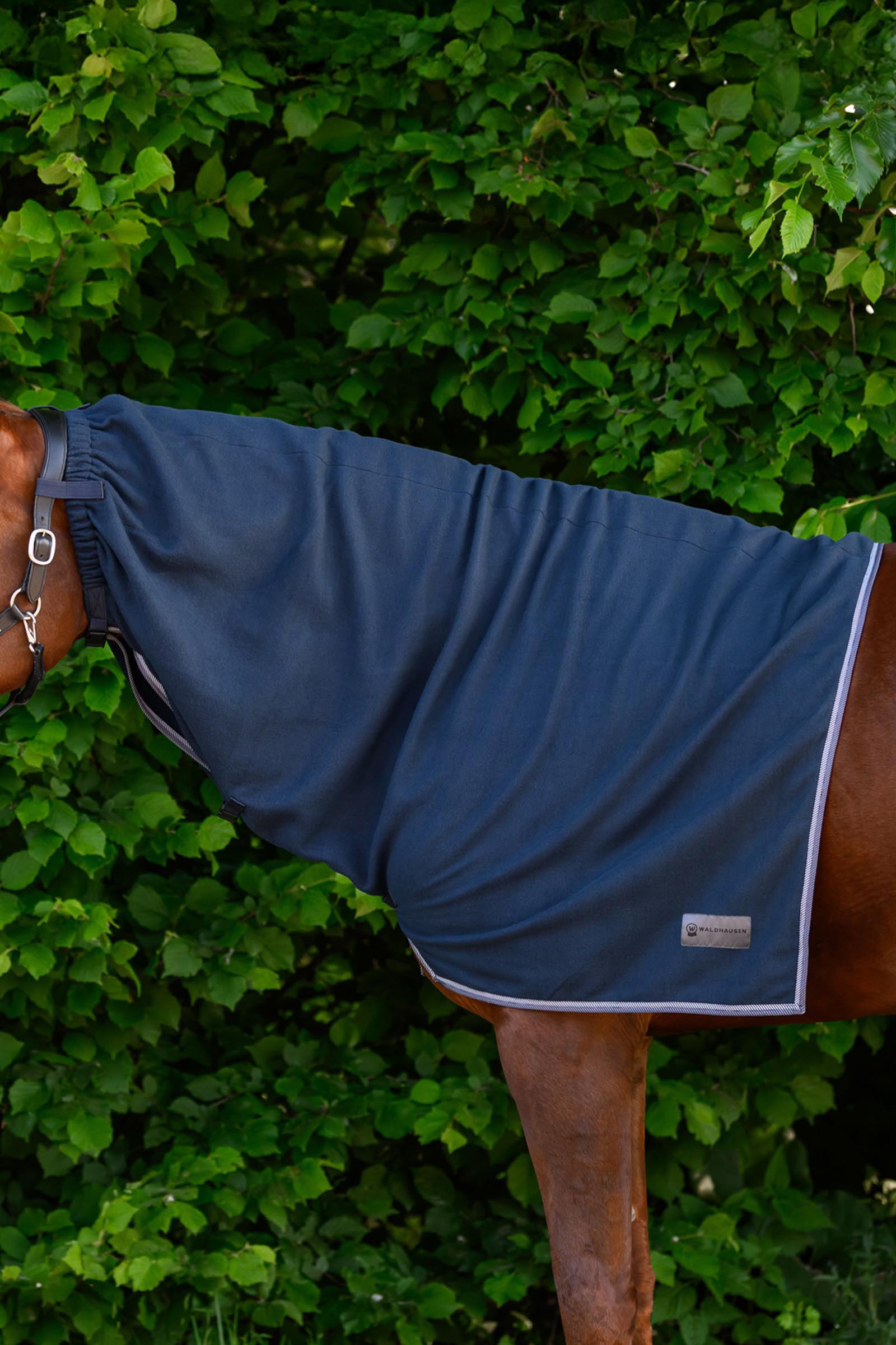 Night Blue Waldhausen ECONOMIC couvre-cou polaire