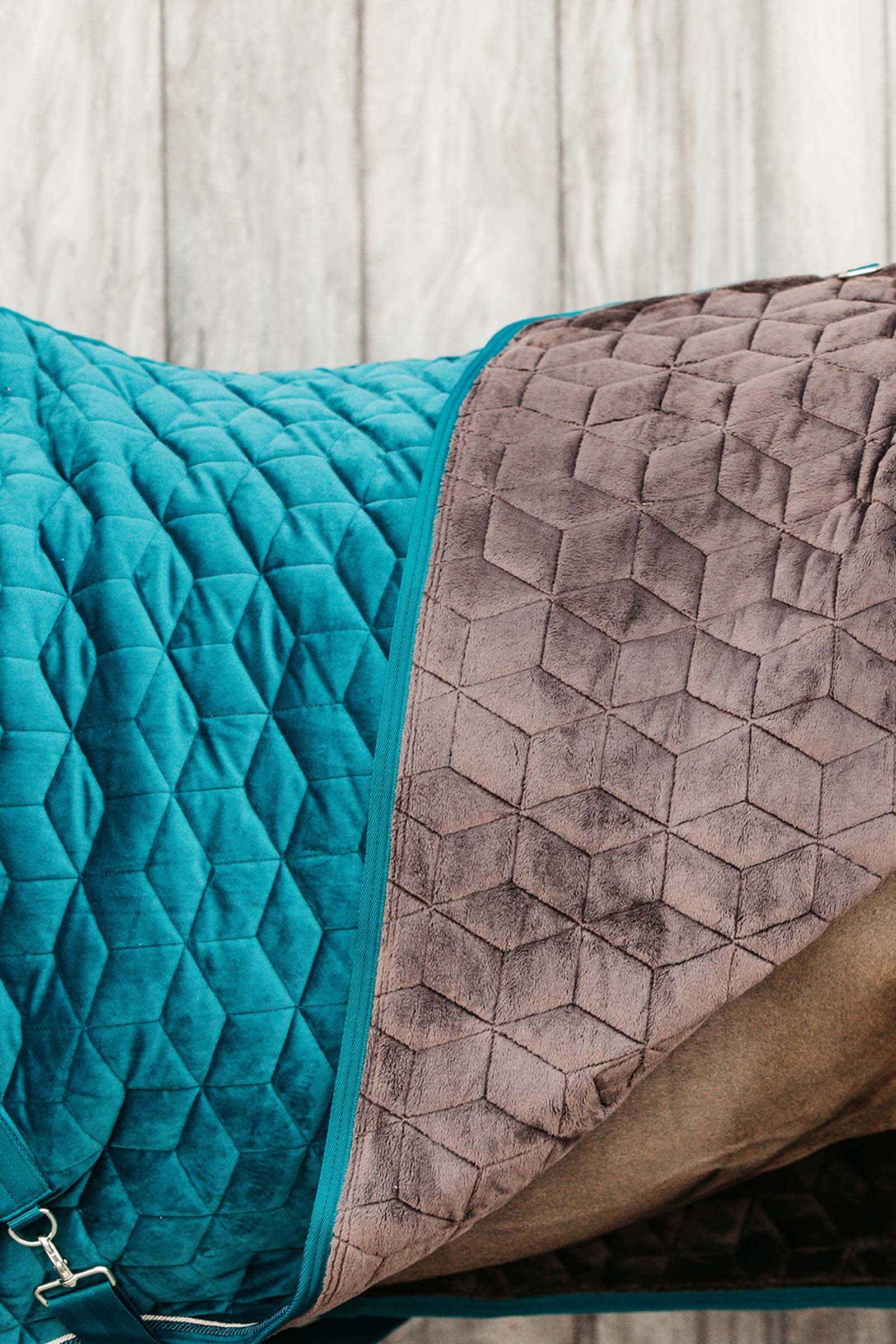 Kentucky Horsewear Couverture de présentation Velvet, 160g