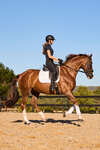 Weatherbeeta Tough-Tec Prime Gu&ecirc;tres de dressage
