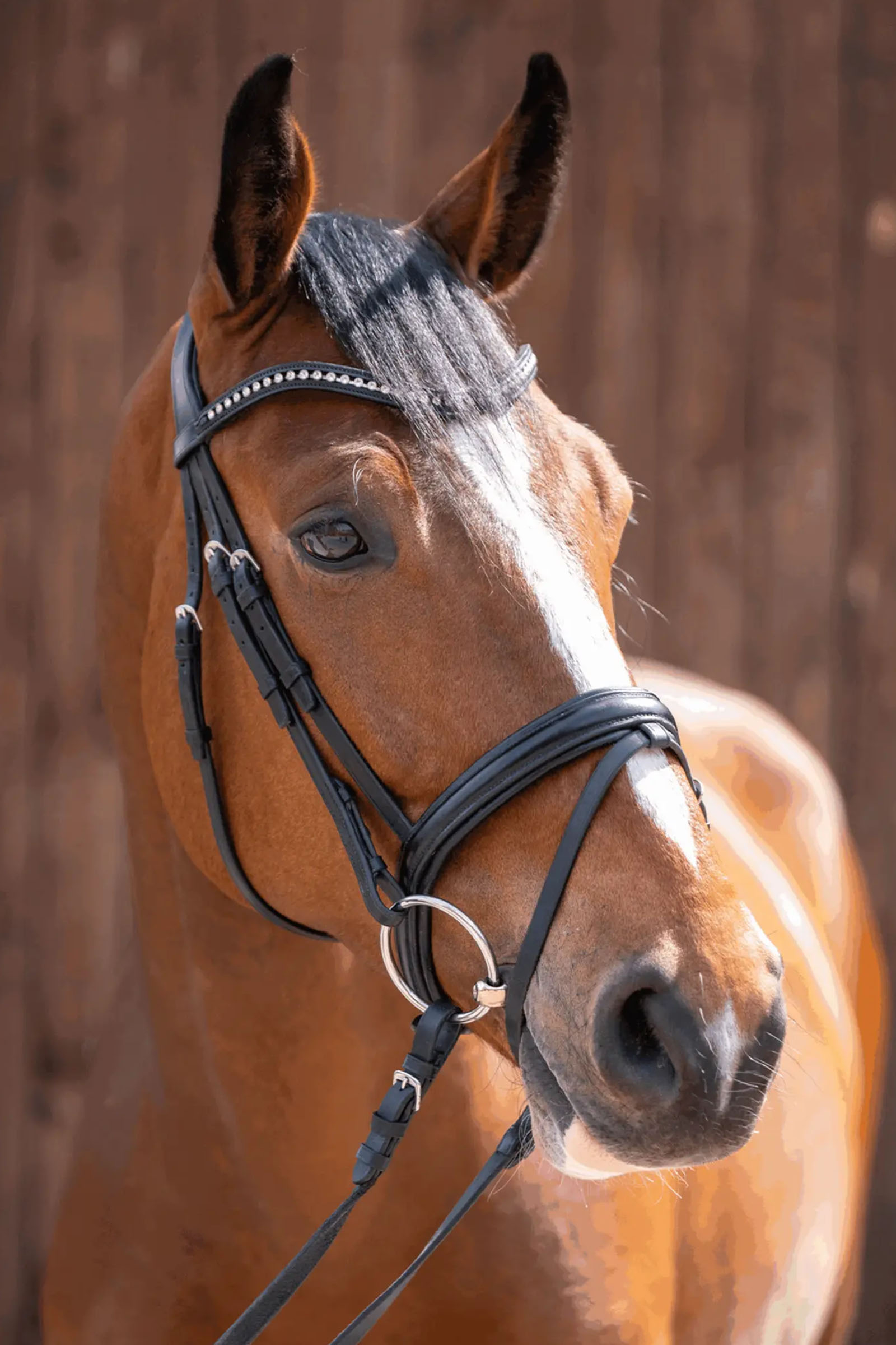 Sprenger Novocontact mors à anneaux libres 14mm simple brisure Sensogan avec anneaux en inox de 70mm