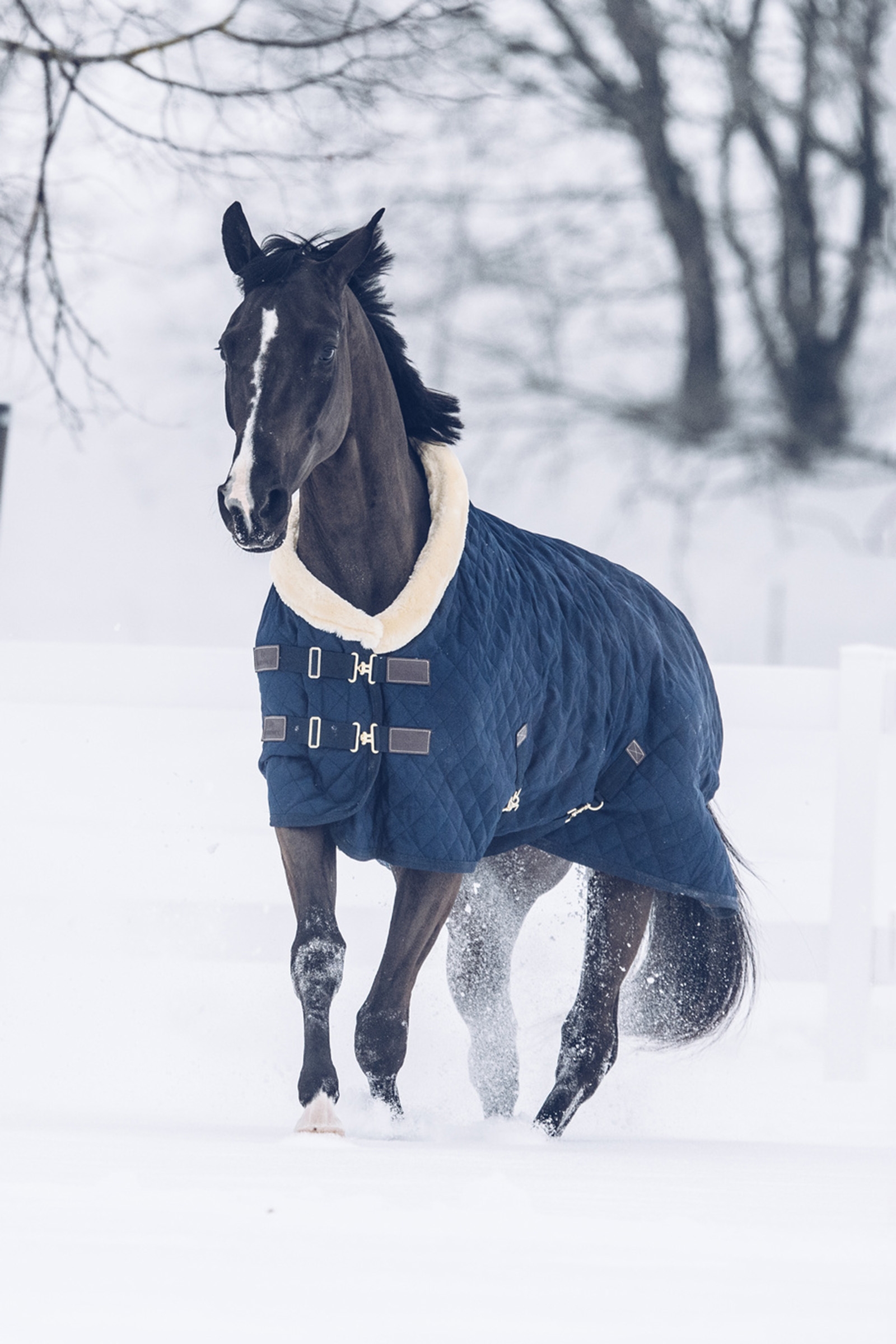 Couverture de concours Kentucky Horsewear, 160 g