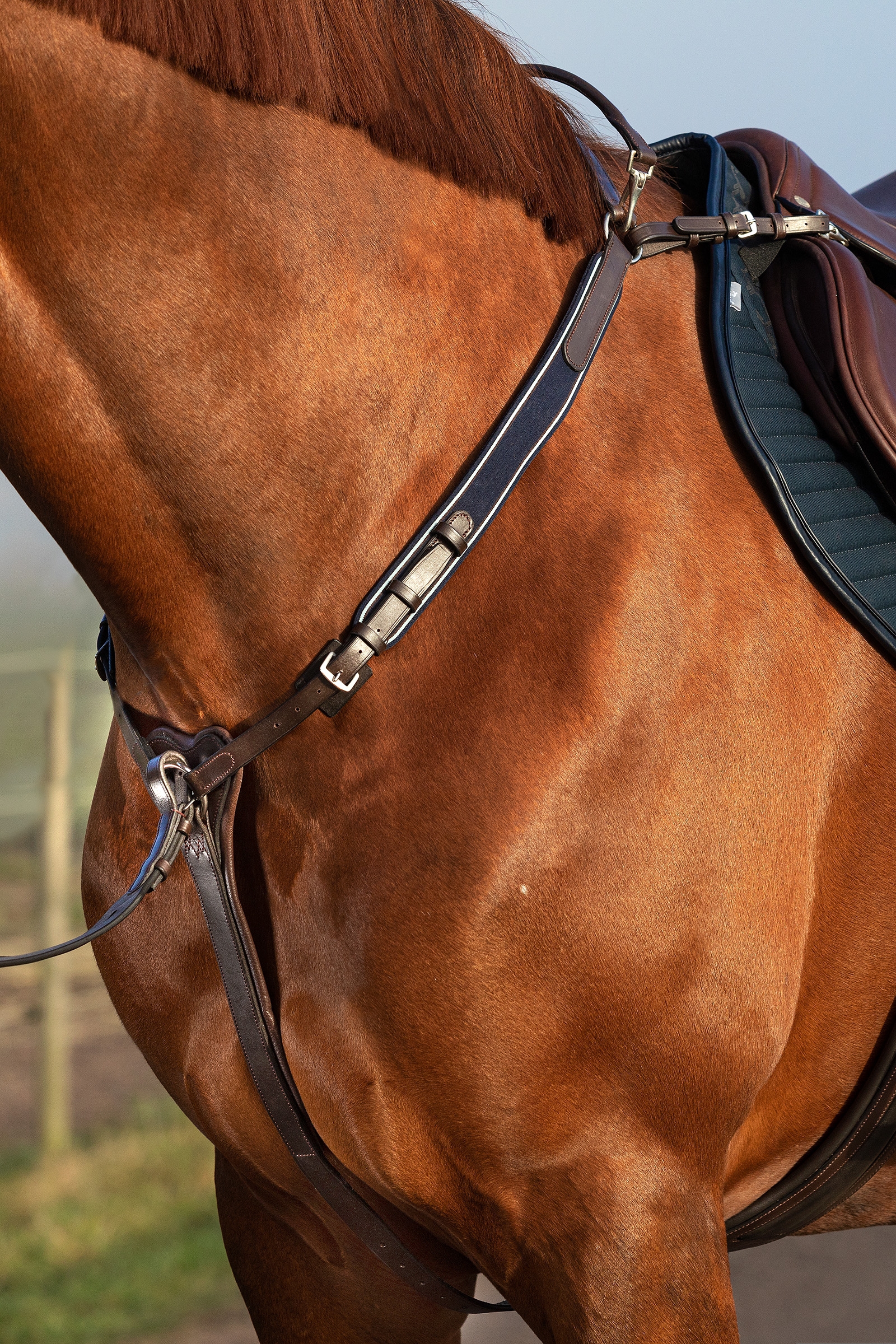 Brown Collier Micklem Rambo Horseware