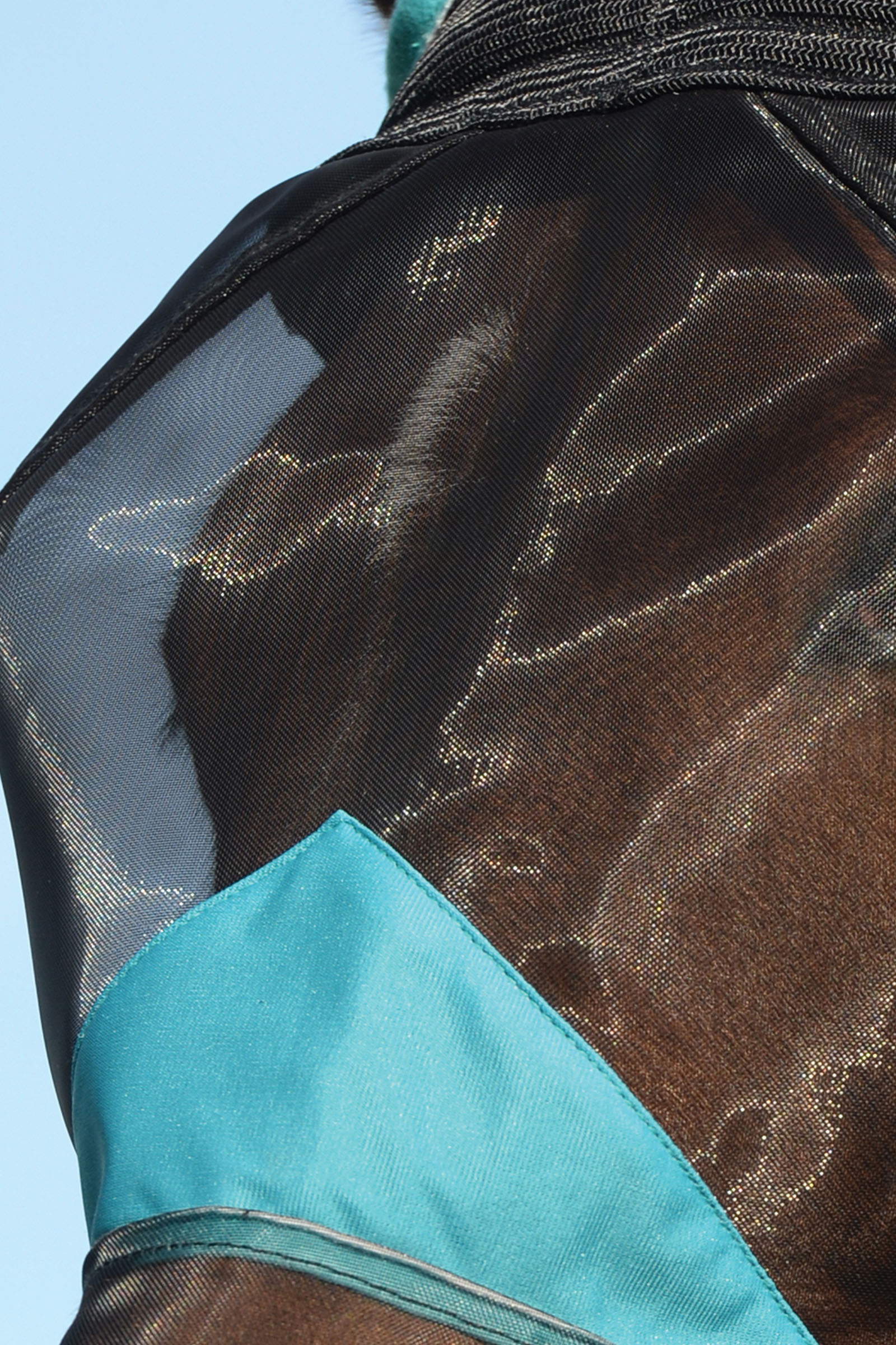 Weatherbeeta Comfitec Deluxe masque en maille fine avec oreilles et franges