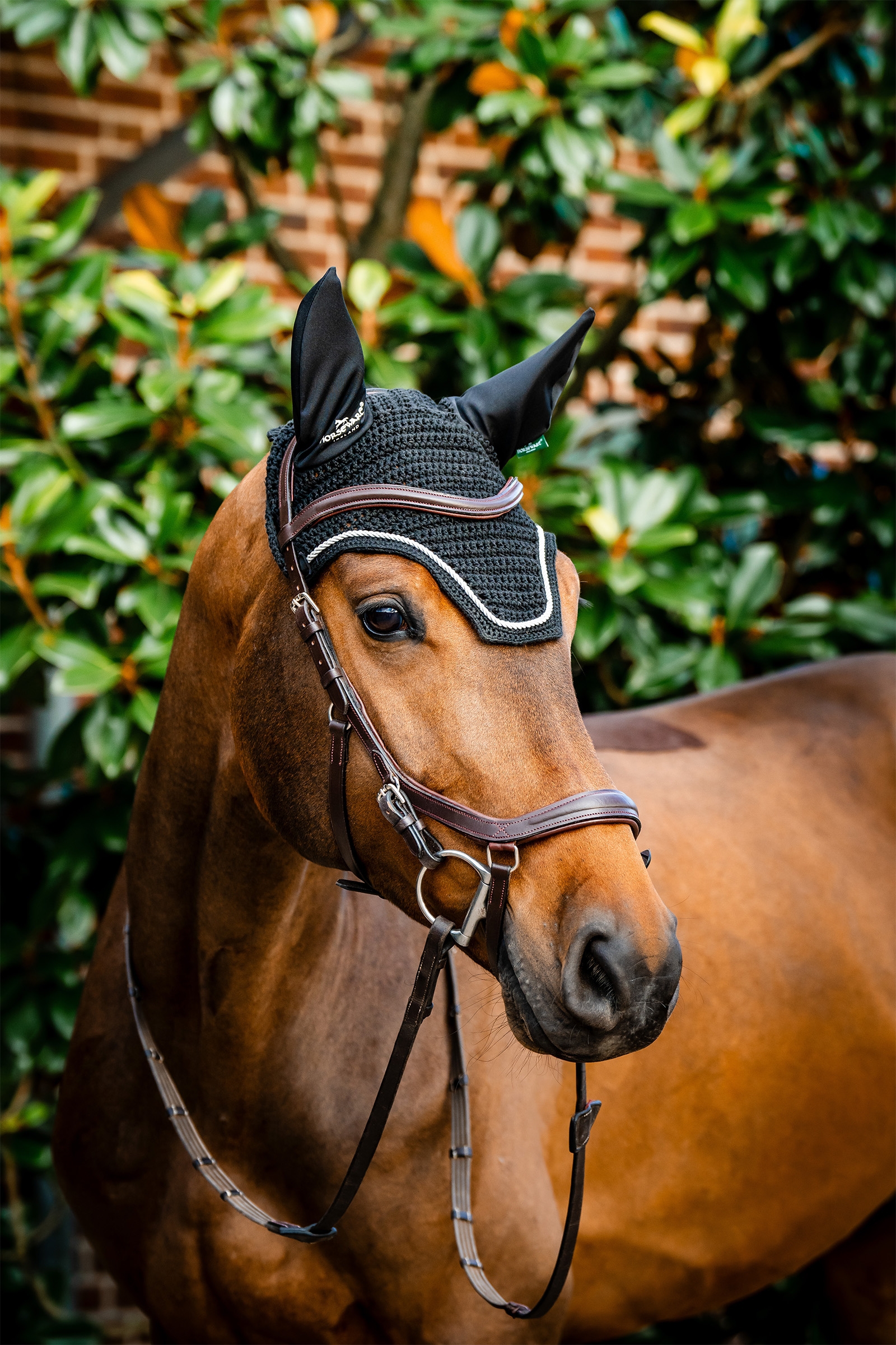 Black Bonnet anti-mouches Horseware Signature