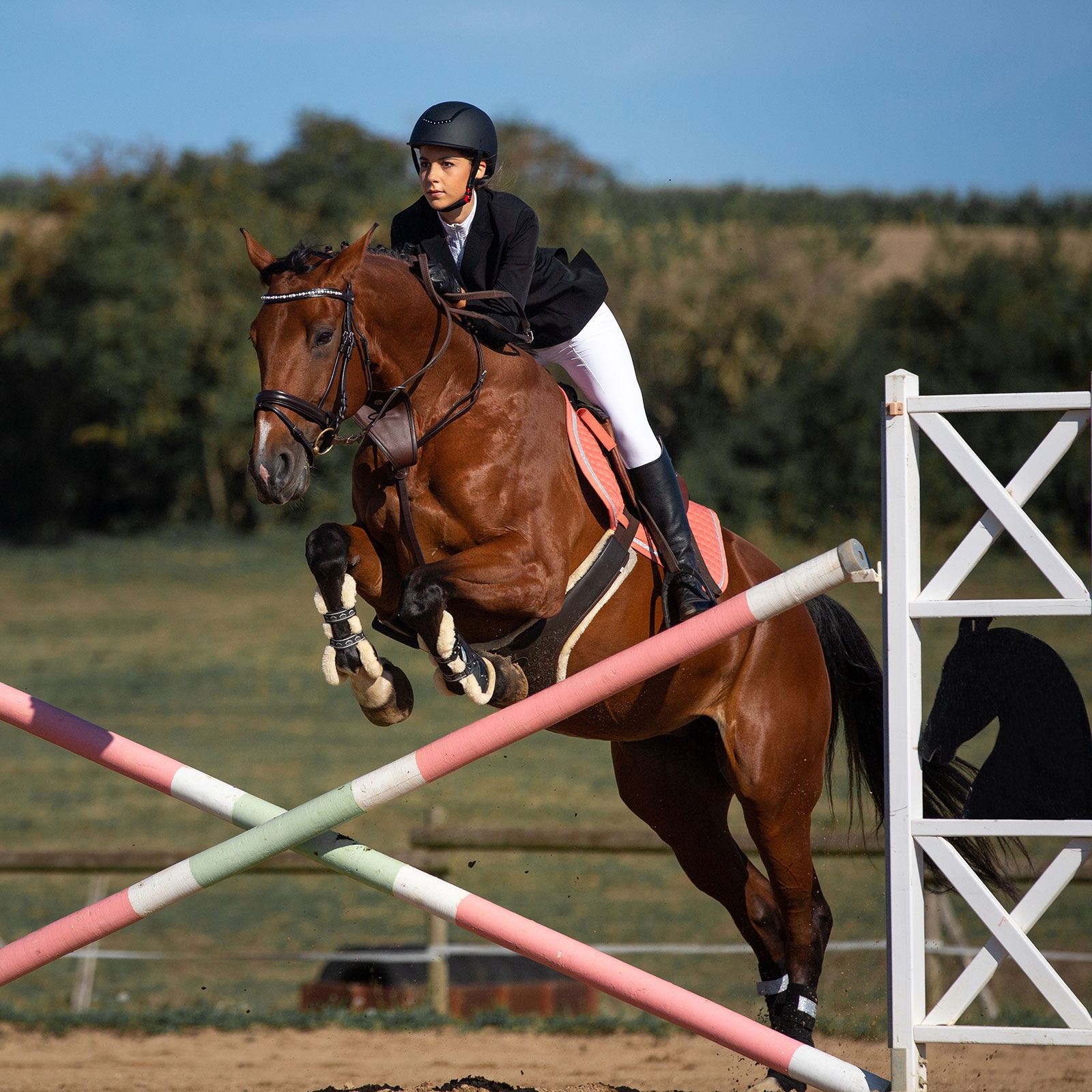 Sangle à bavette Horze Atlanta avec doublure velours