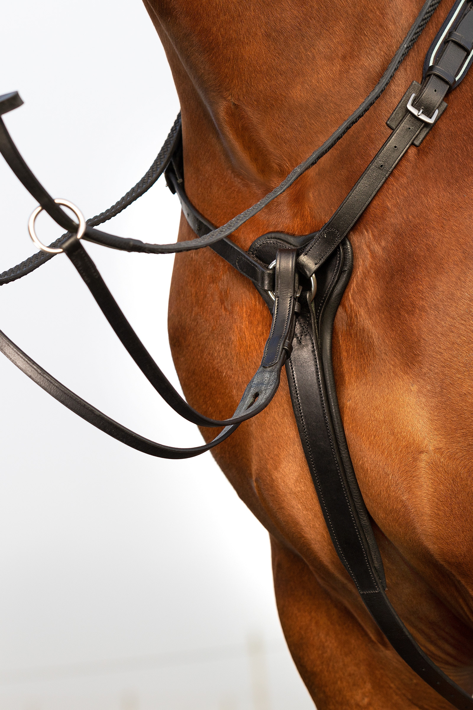 Collier Micklem Rambo Horseware